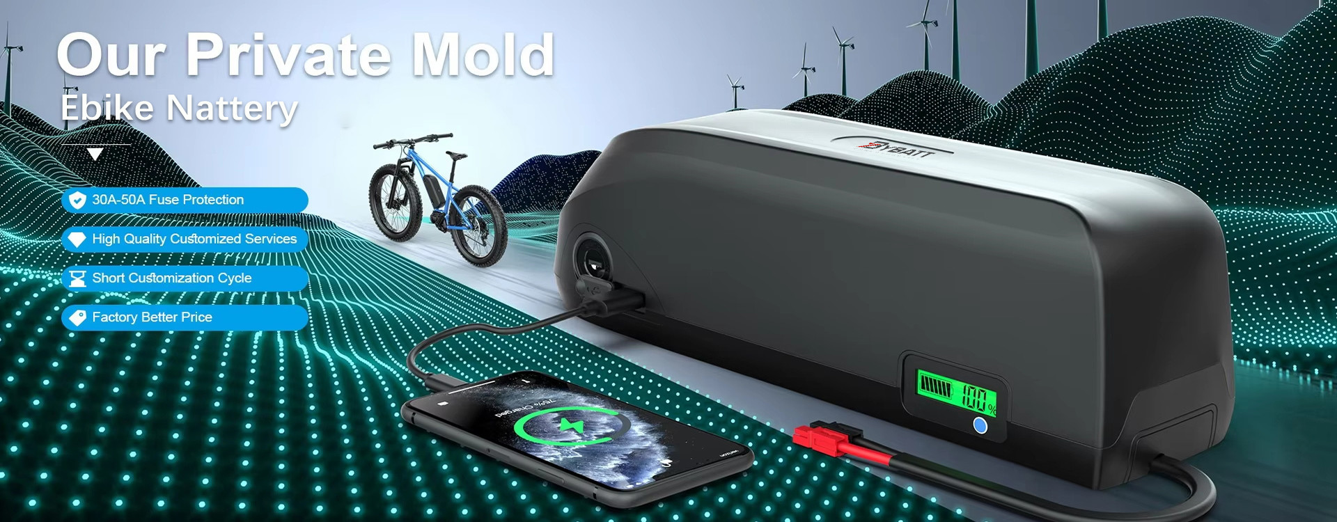 Qualität Li-Ionen-Traktionsbatterie usine